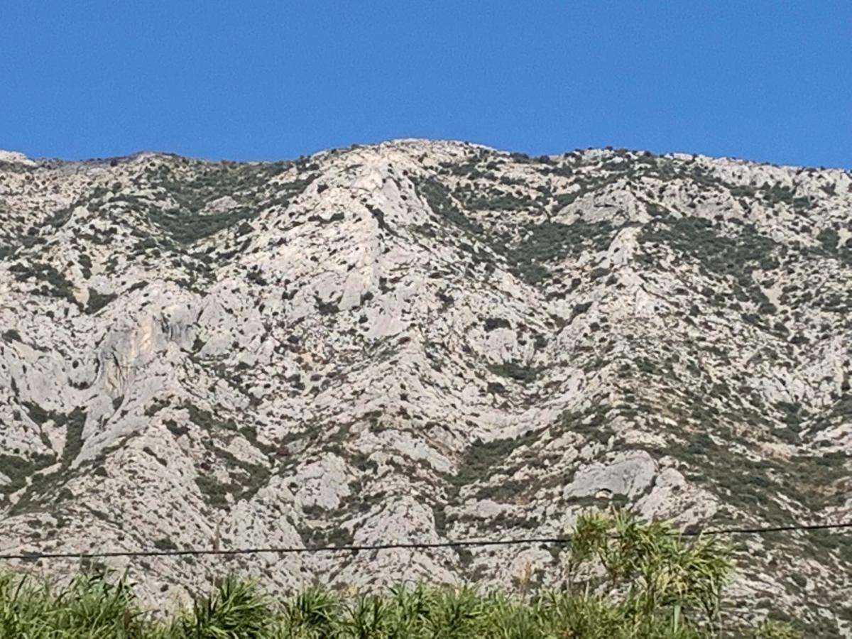 Studio Au Pied De La Ste Victoire Puyloubier Dış mekan fotoğraf